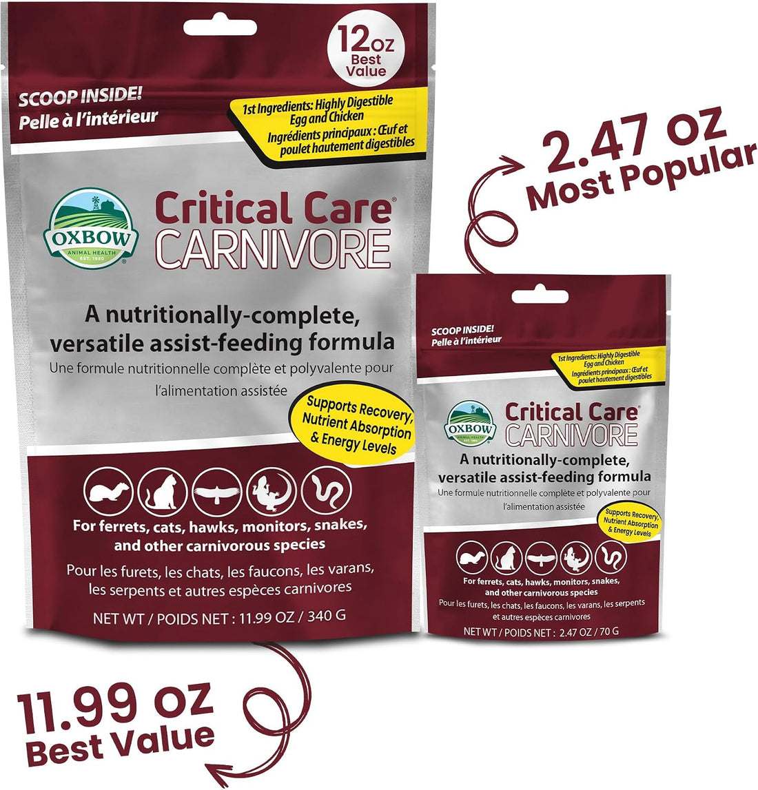 Oxbow Critical Care Carnivore Formula for Cats & Ferrets, 340g