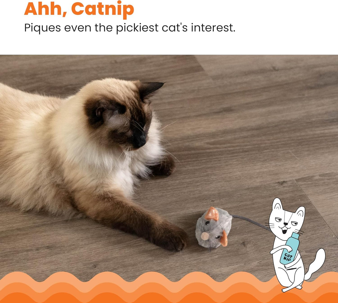 Catstages Squeak Squeak Mouse Cat Toy with Touch-Activated Sound