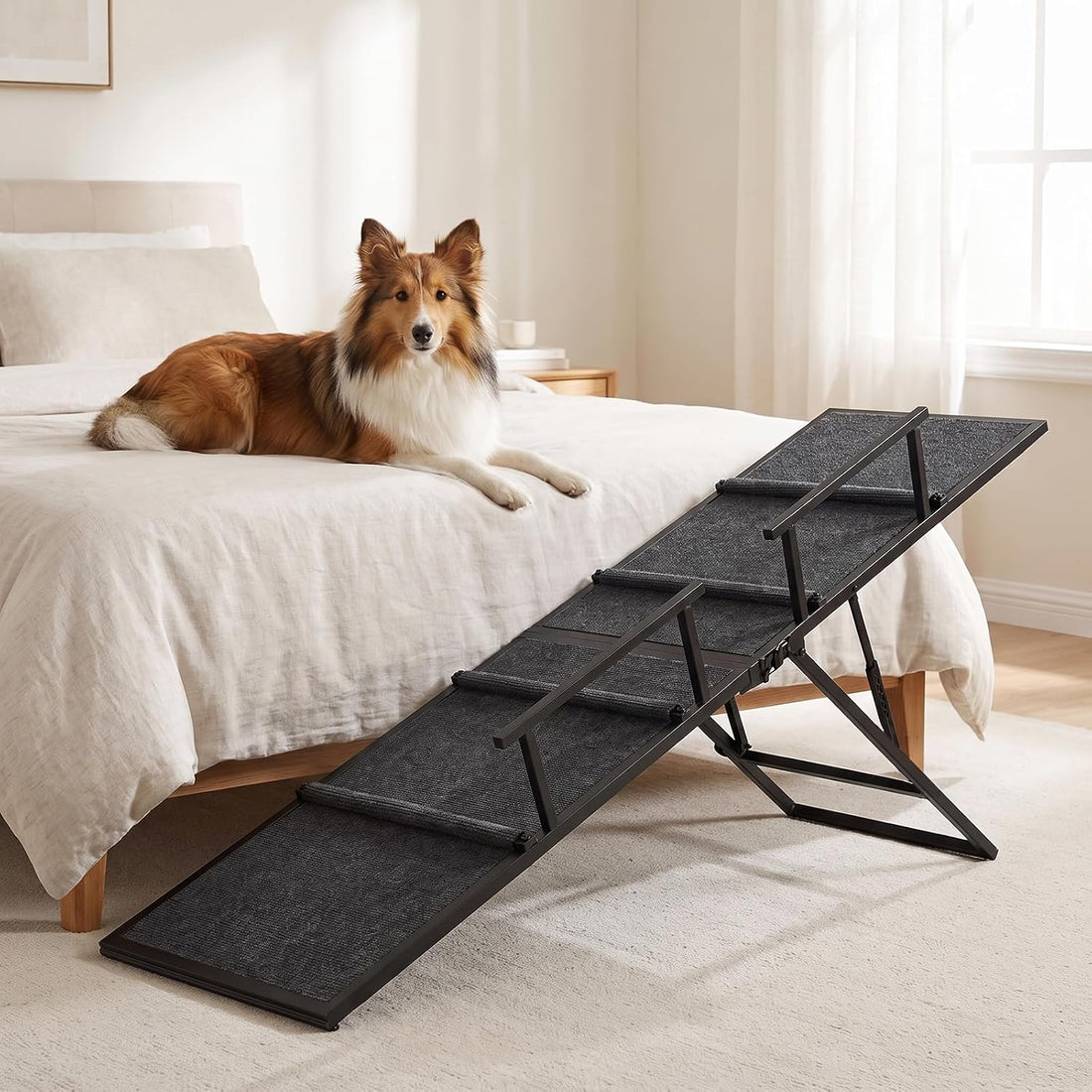 Dog Ramp for Bed Couch, 63" Long Foldable Pet Ramp for Small to Large