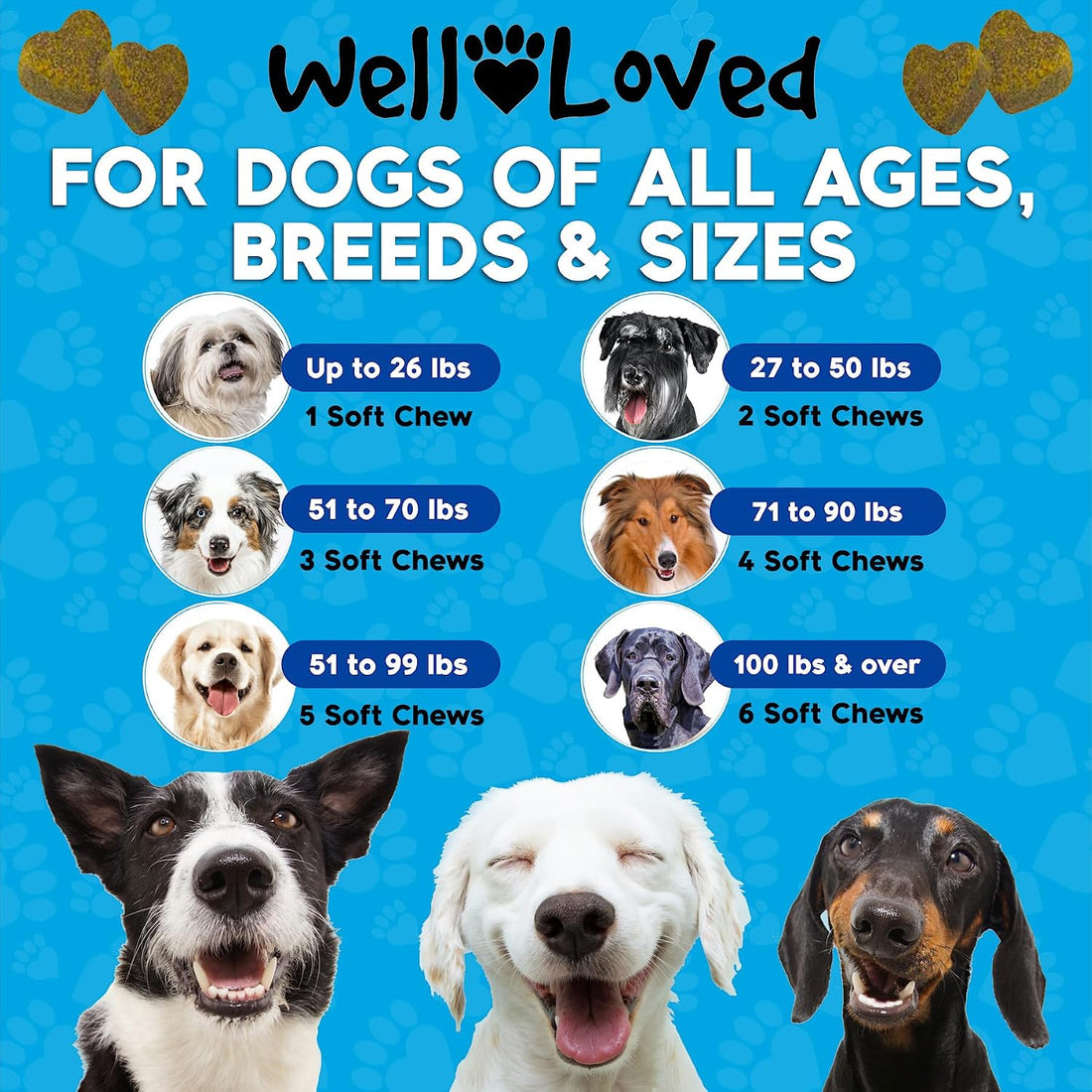 Well Loved Calming Chews for Dogs - Dog Calm Treats Extra Strength