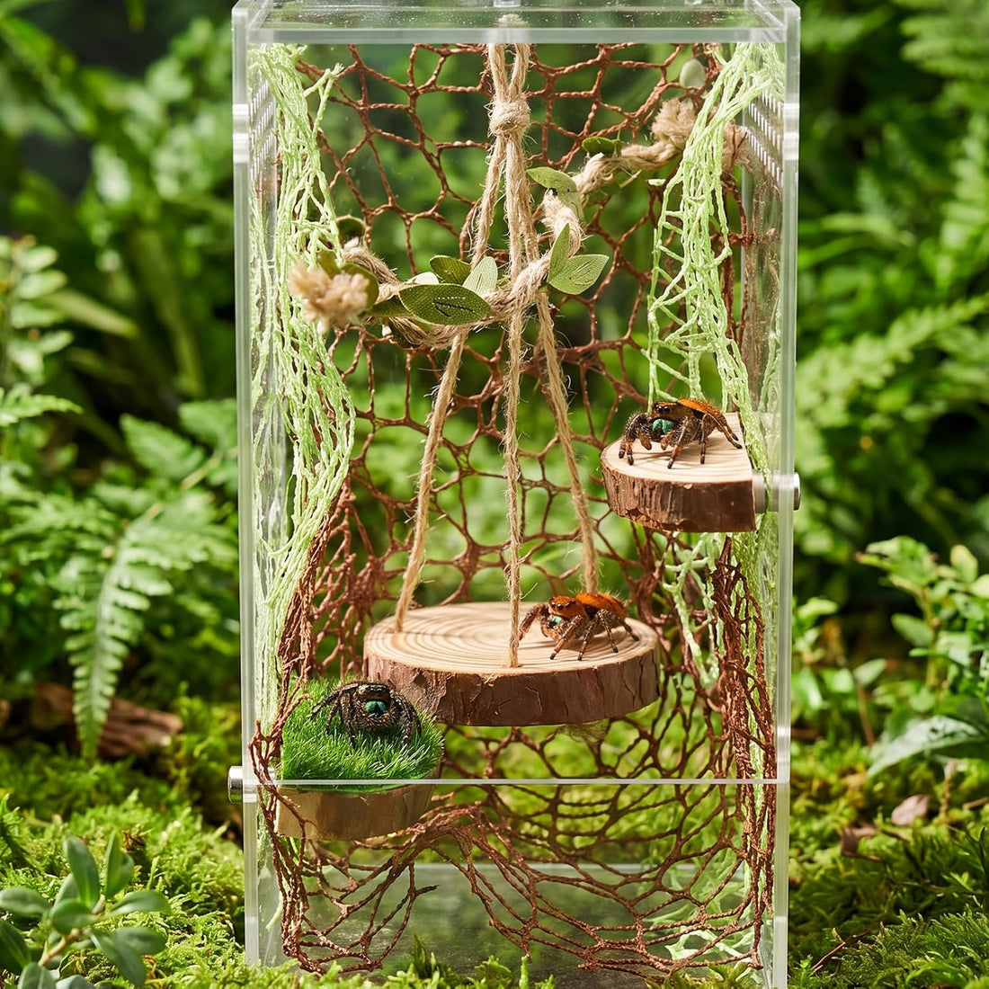 Jumping Spider Enclosure Accessories Kit