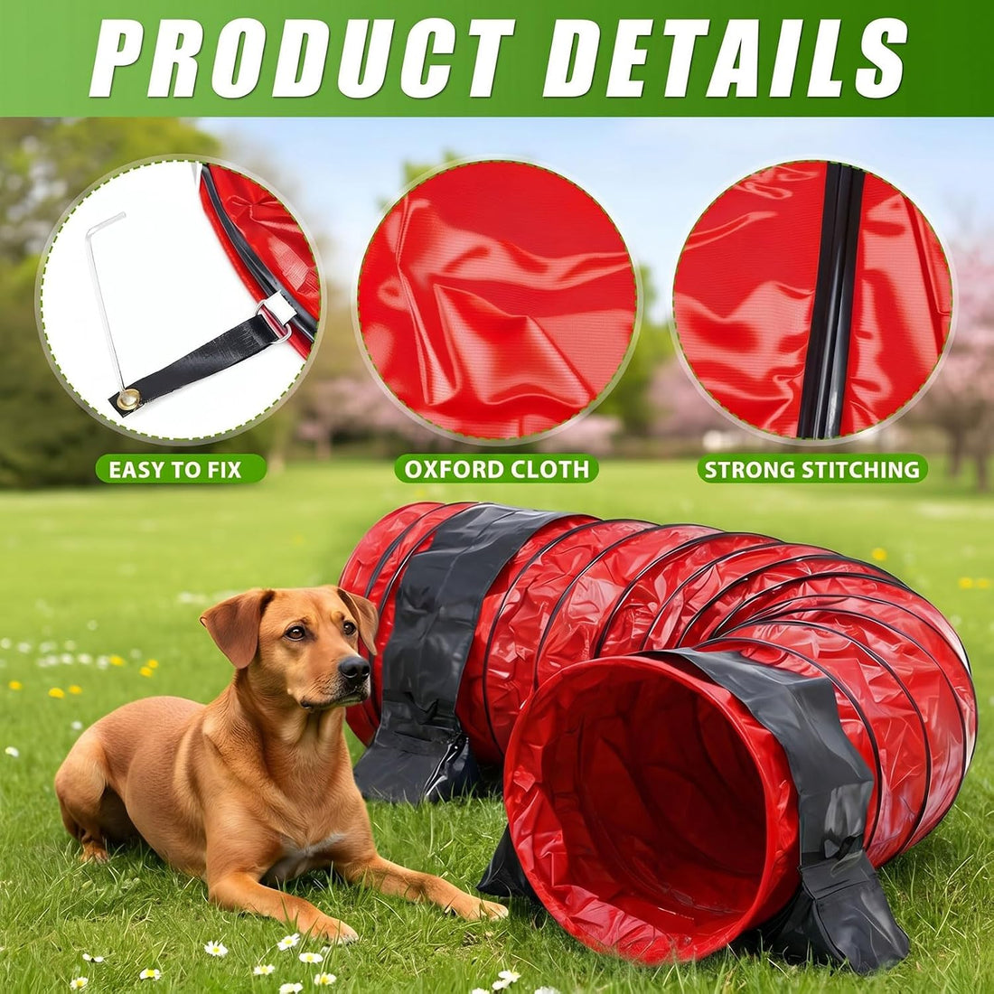Briwooody 24 in 10 Foot PVC Dog Agility Tunnel with Sandbags Dogs