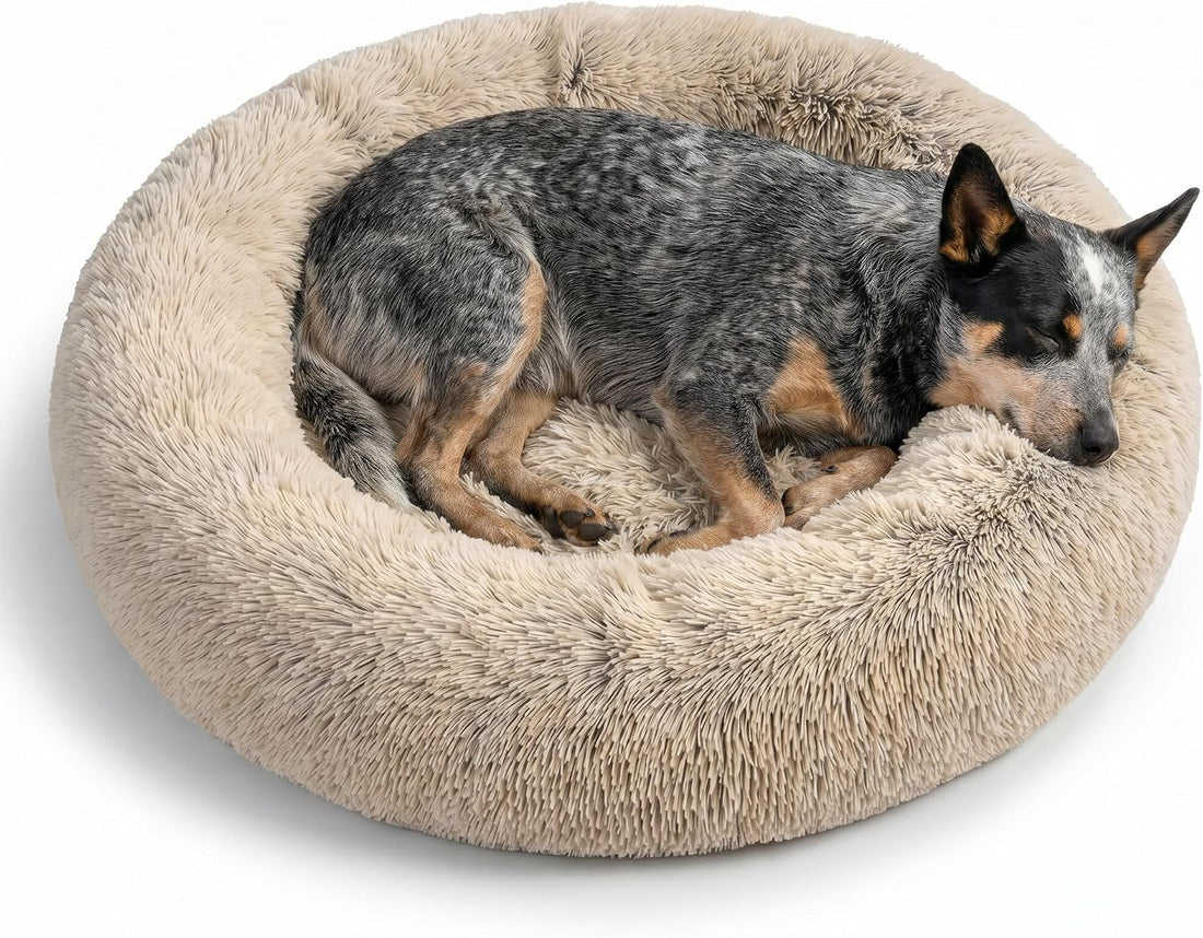 Best Friends by Sheri The Original Calming Donut Dog Bed for Medium