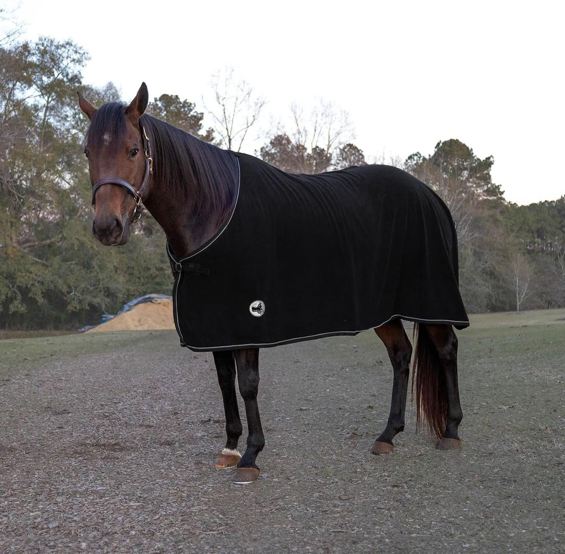 Jeffers Standard Neck Fleece Cooler for Horses, 81" - Black