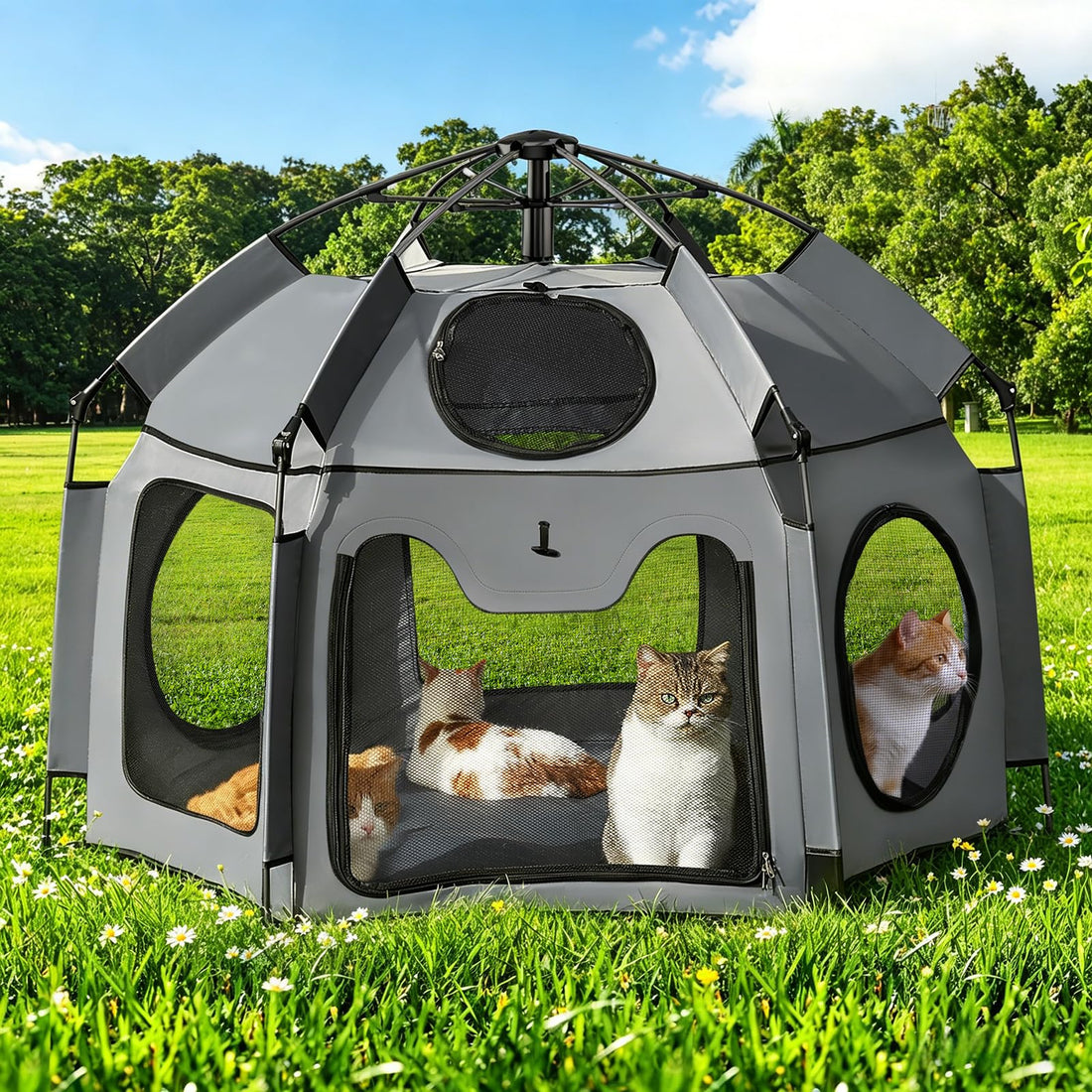 Catio Outdoor Cat Enclosure, Rywell 55” Extra Large Catio Pop Up