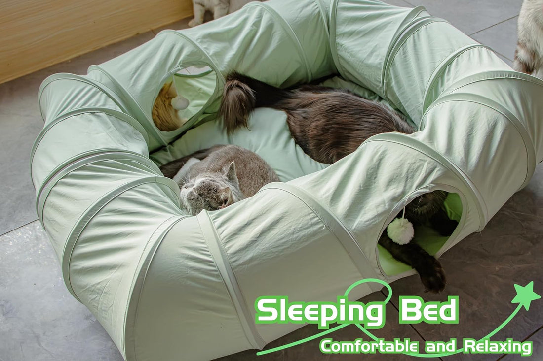 XxingSheep 4 Ways Shuttled XL Cat Tunnel Bed for Indoor Cats Peekaboo