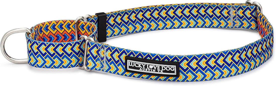 Lucky Love Dog Martingale Collar for Medium Dogs Cute – Blackbird