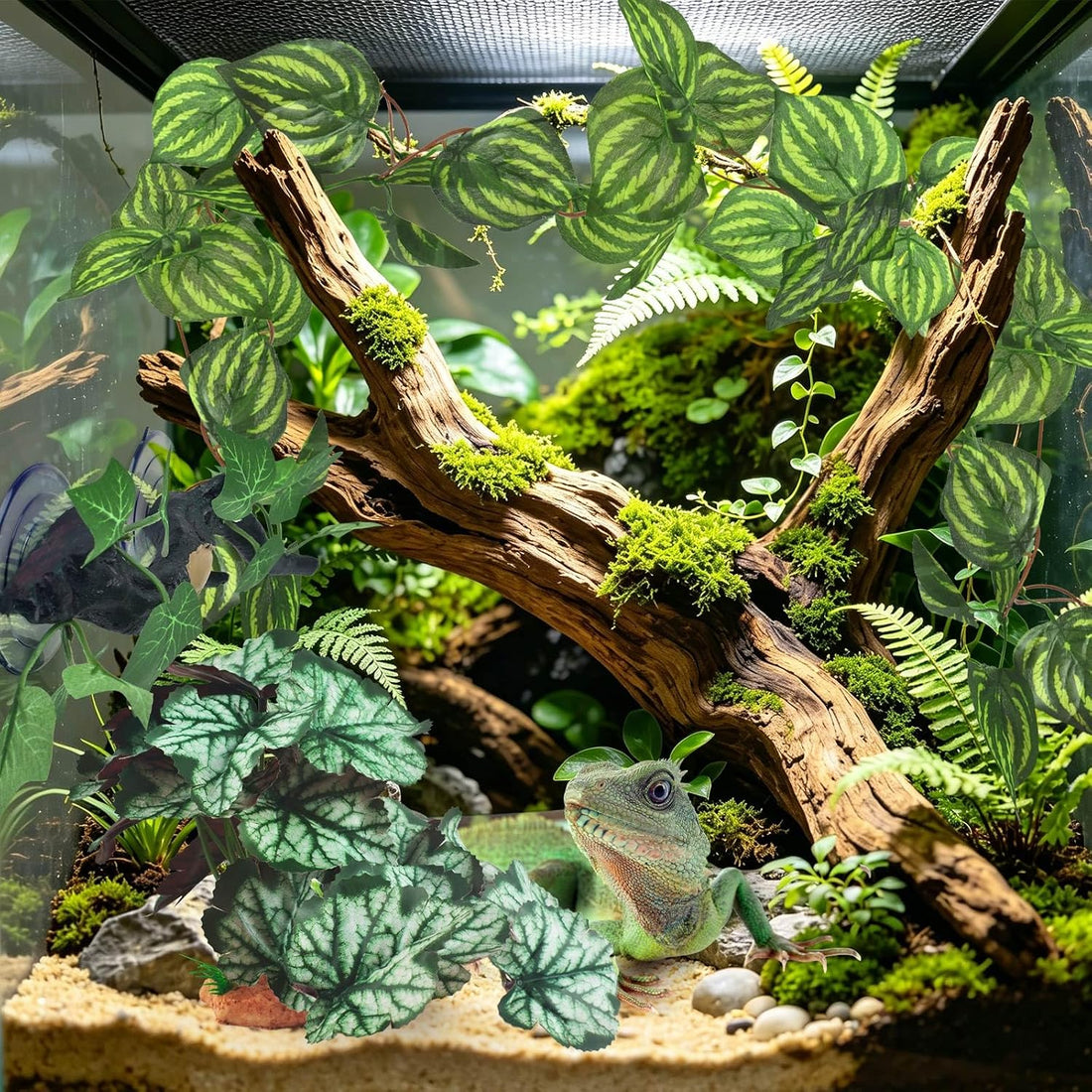 KATUMO 3PCS Reptile Plants, Terrarium Plant Artificial Decor