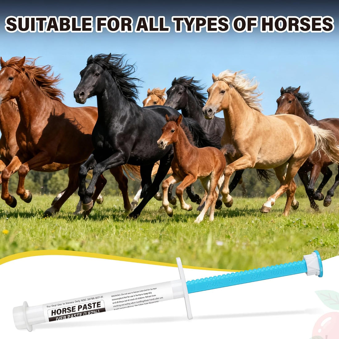 12 Pack Equine Paste 1.87% – Apple Flavored Oral for Horse