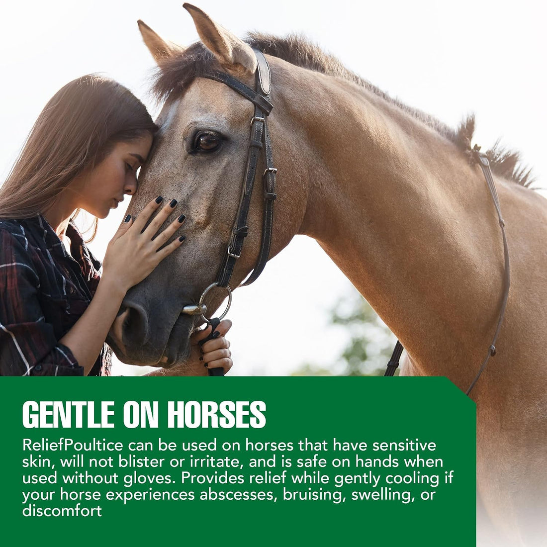 Ramard Relief Poultice for Horses -Veterinary Liniment Gel for Horse