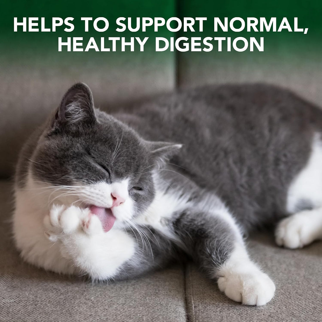 Vet's Best Cat Hairball Relief Chewable Tablets, Relief for Cats