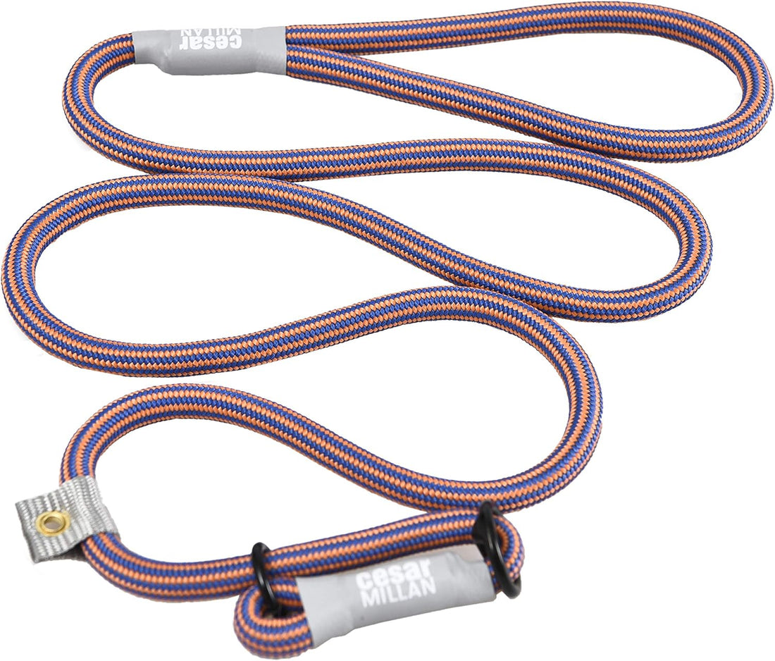 Cesar Millan Slip Lead Leash | Dog Leash | in Training Leash