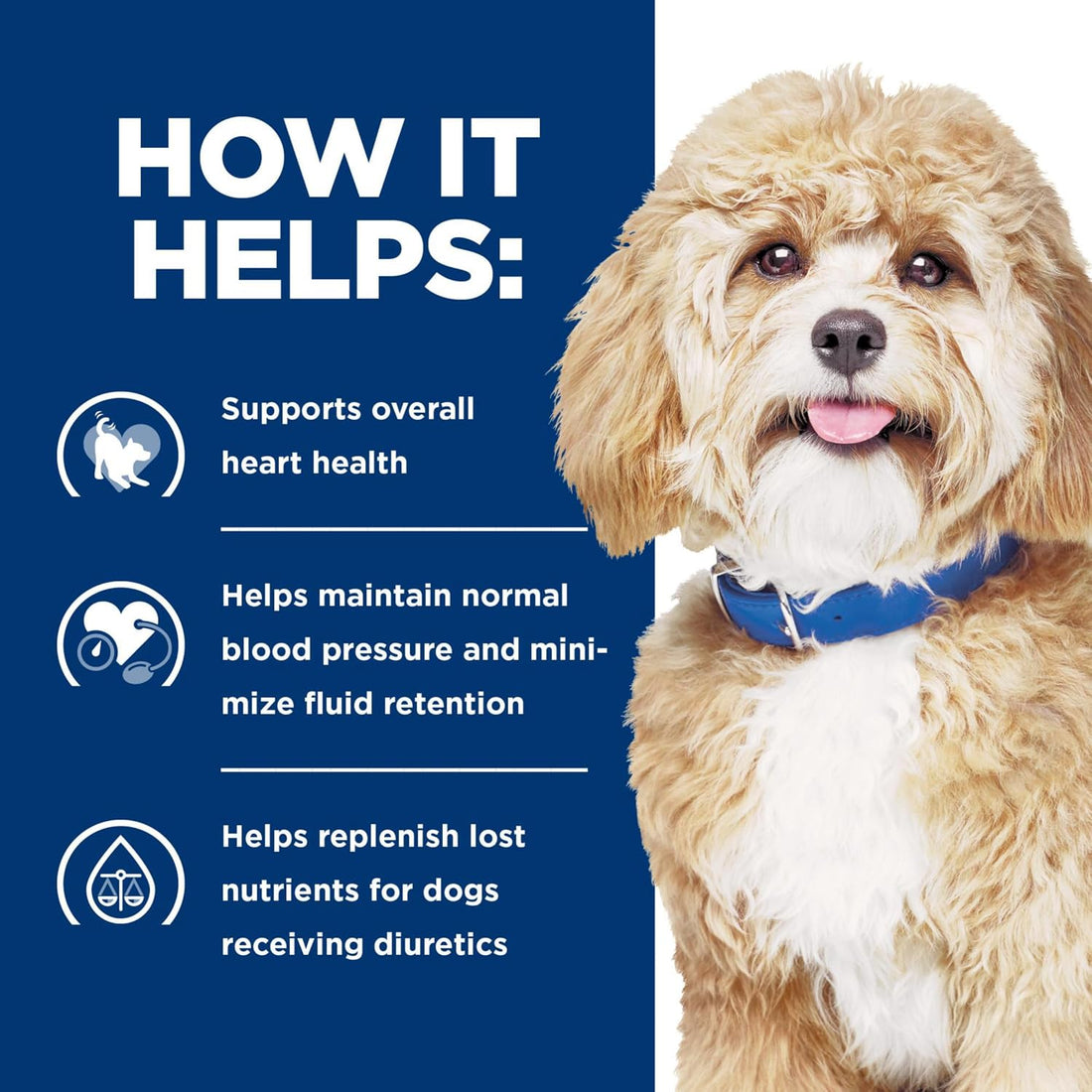 Hill's Prescription Diet h/d Heart Care Dry Dog Food, Chicken