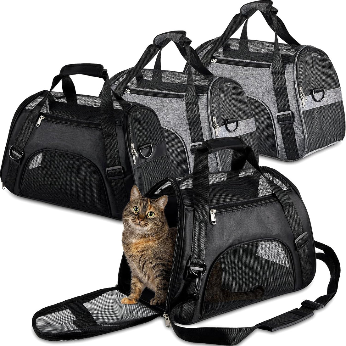 Sweetude 4 Pcs Cat Carrier Soft-Sided Pet Carrying Bag for Cat Under