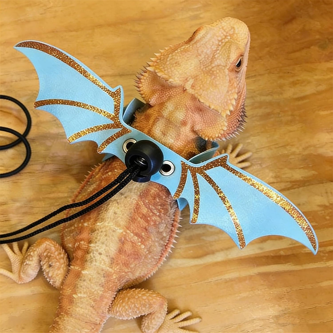 Bearded Dragon Harness and Leash Set, Wings & Adjustable Sizes