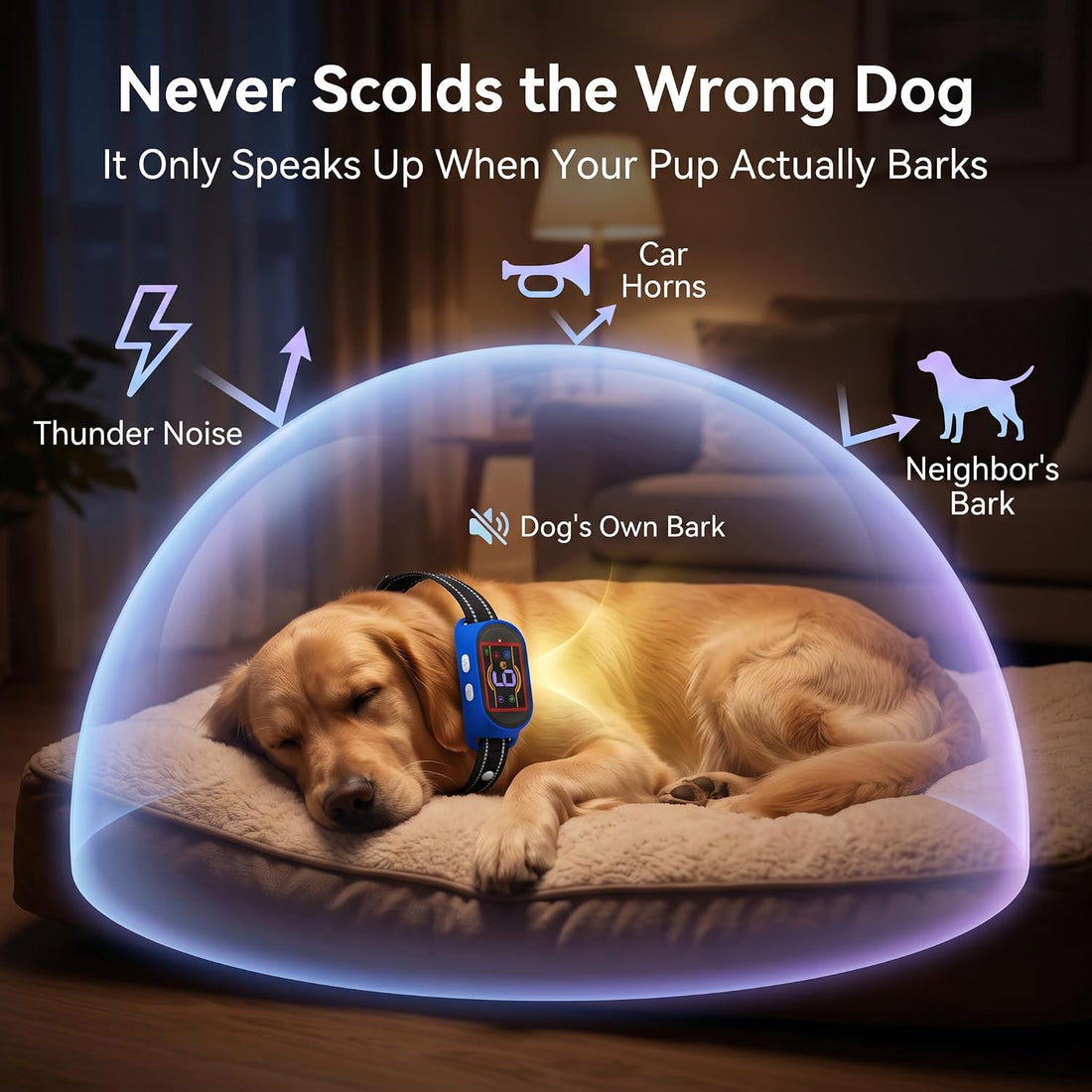 Voice Memo Anti Bark Collar, Smart Dog Bark Collar