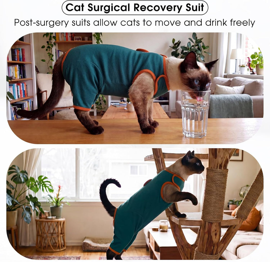 DENTRUN Cat Recovery Suit - Post-Surgery Onesie with Hind Legs