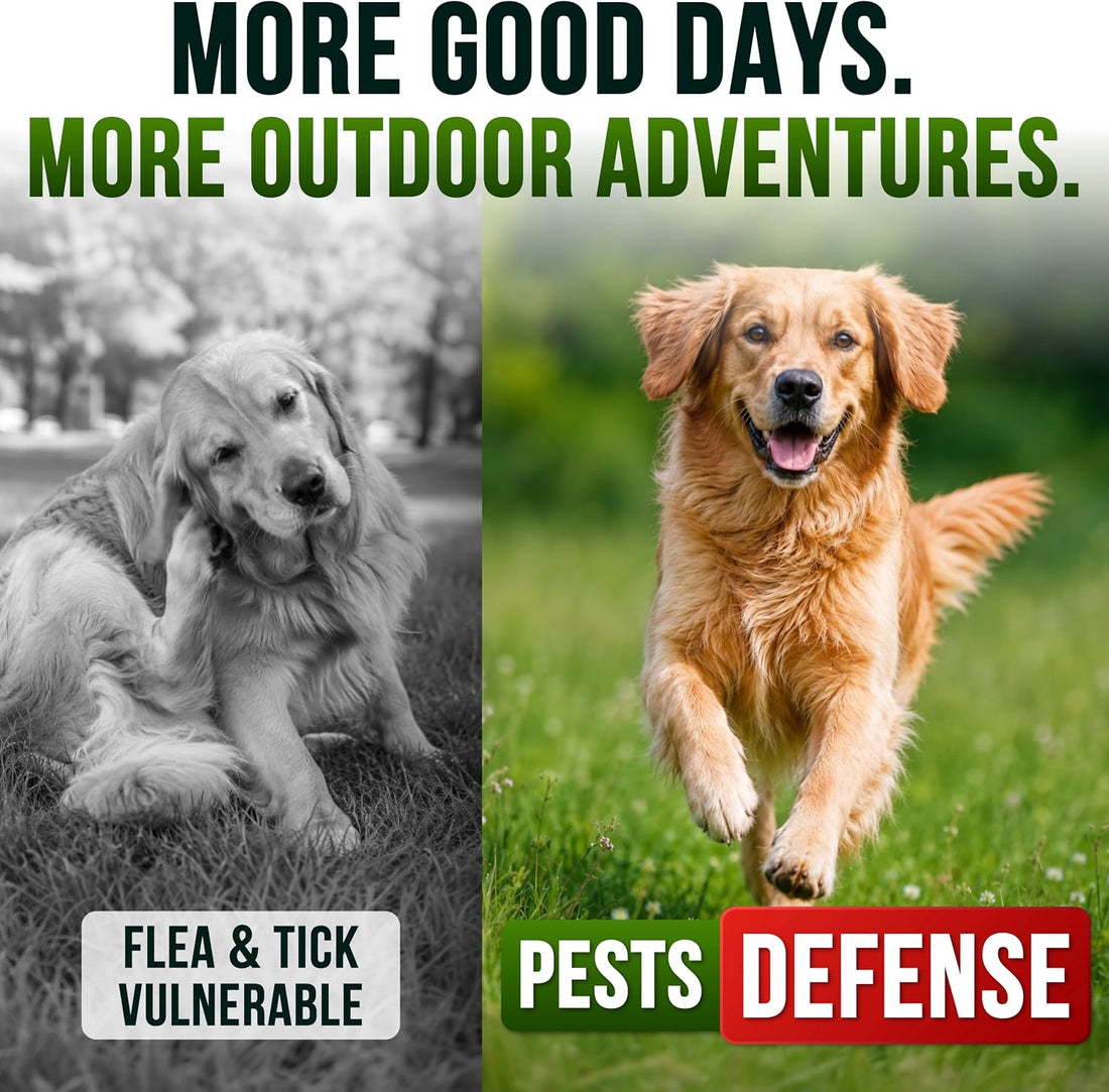 Flea and Tick Prevention for Dogs Chewables