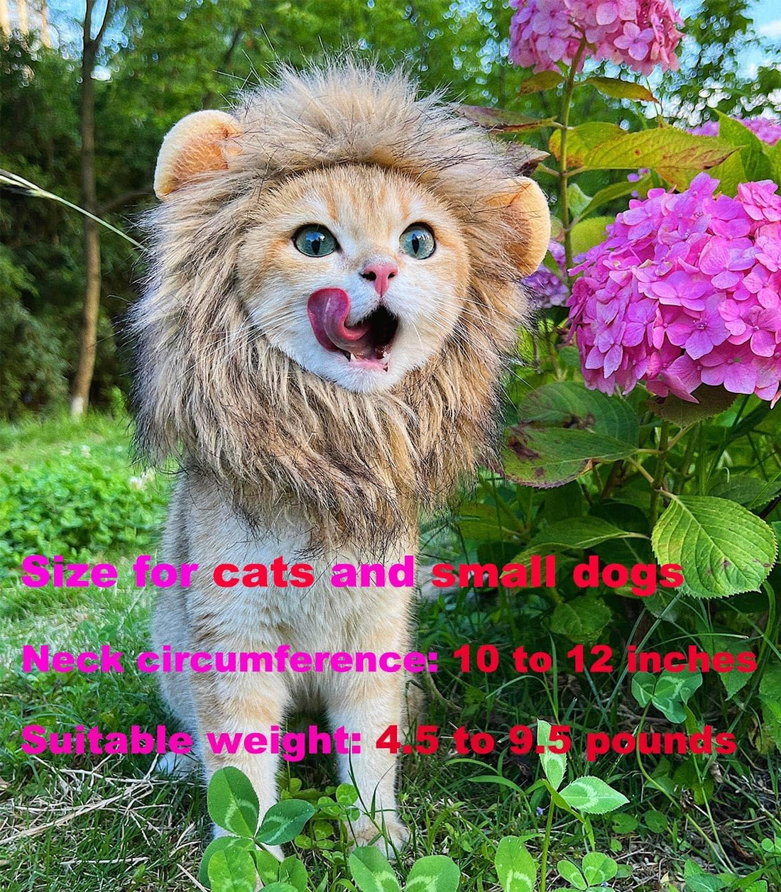 Lion Mane Wig for Cat Costume Pet Adjustable Washable Comfortable