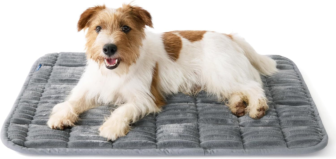 Bedsure ComfyFleece® Washable Dog Crate Pad,Soft Thin Medium Pet