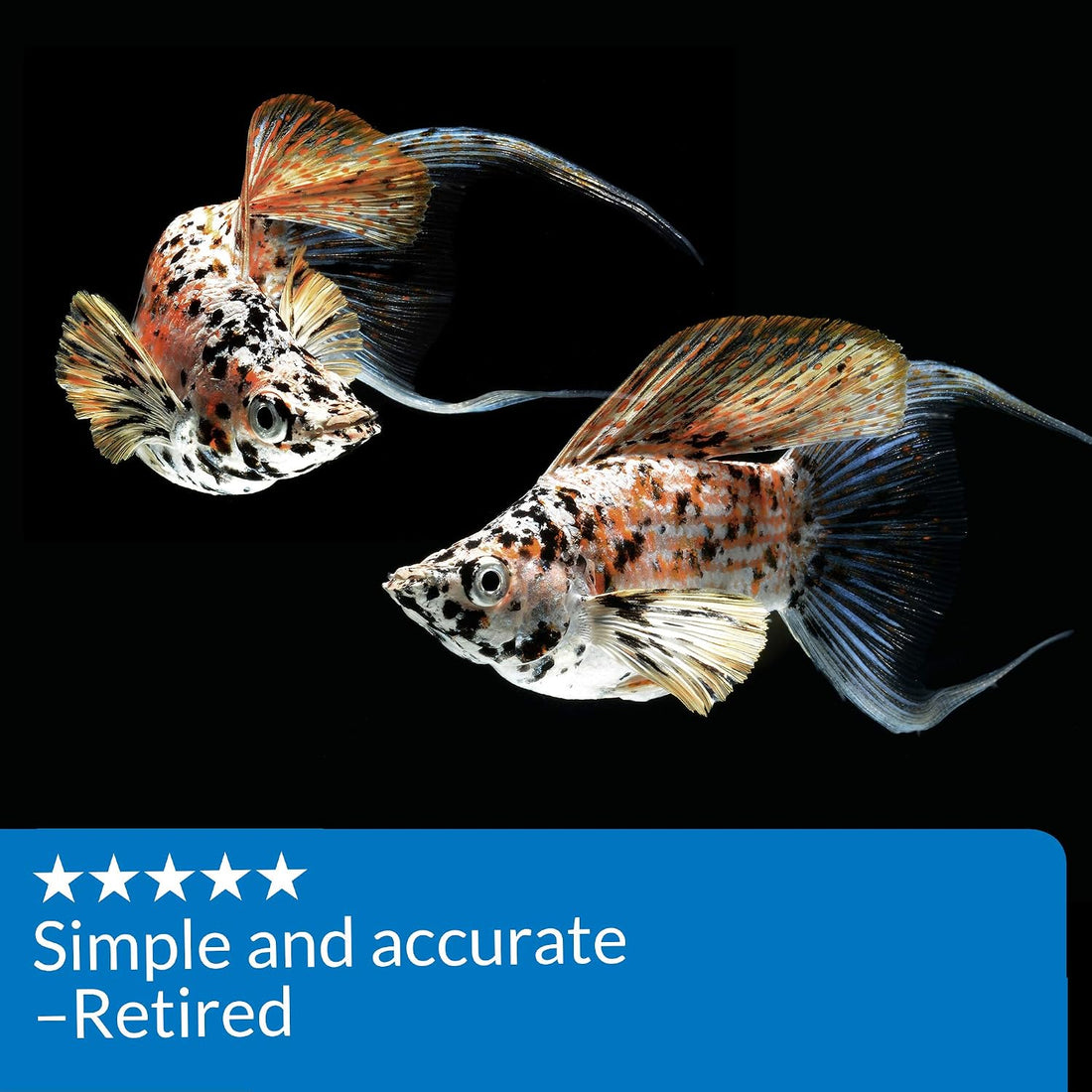 API AMMONIA TEST STRIPS Freshwater and Saltwater Aquarium Water Test