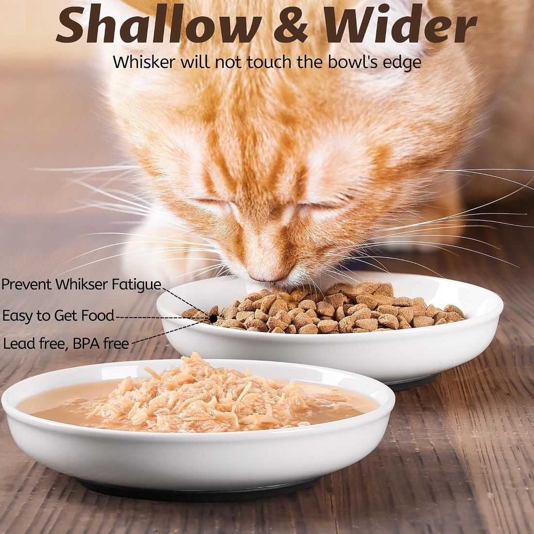 WROSWT No Spill Cat Bowls,Cat Food Bowl,Anti Whisker Fatigue Healthy