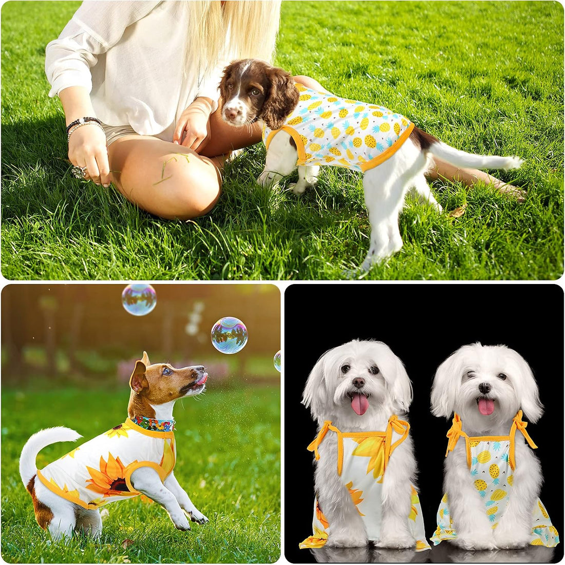 Frienda 4 Pieces Dog Clothes Set Include 2 Pcs Cute Pet Dress Lovely