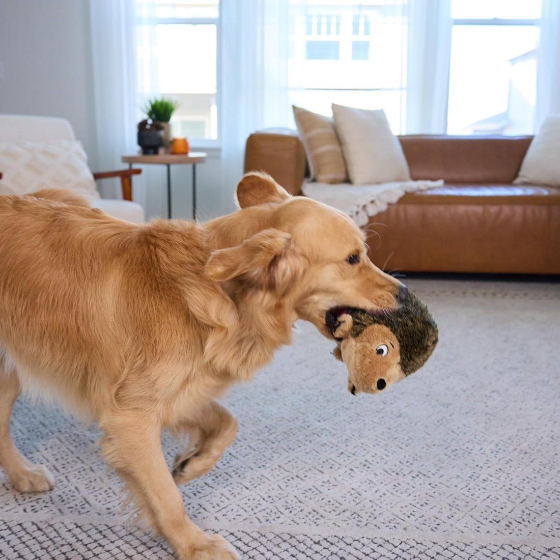 Outward Hound Hedgehogz Plush Dog Toy, Squeaks & Grunts, Large