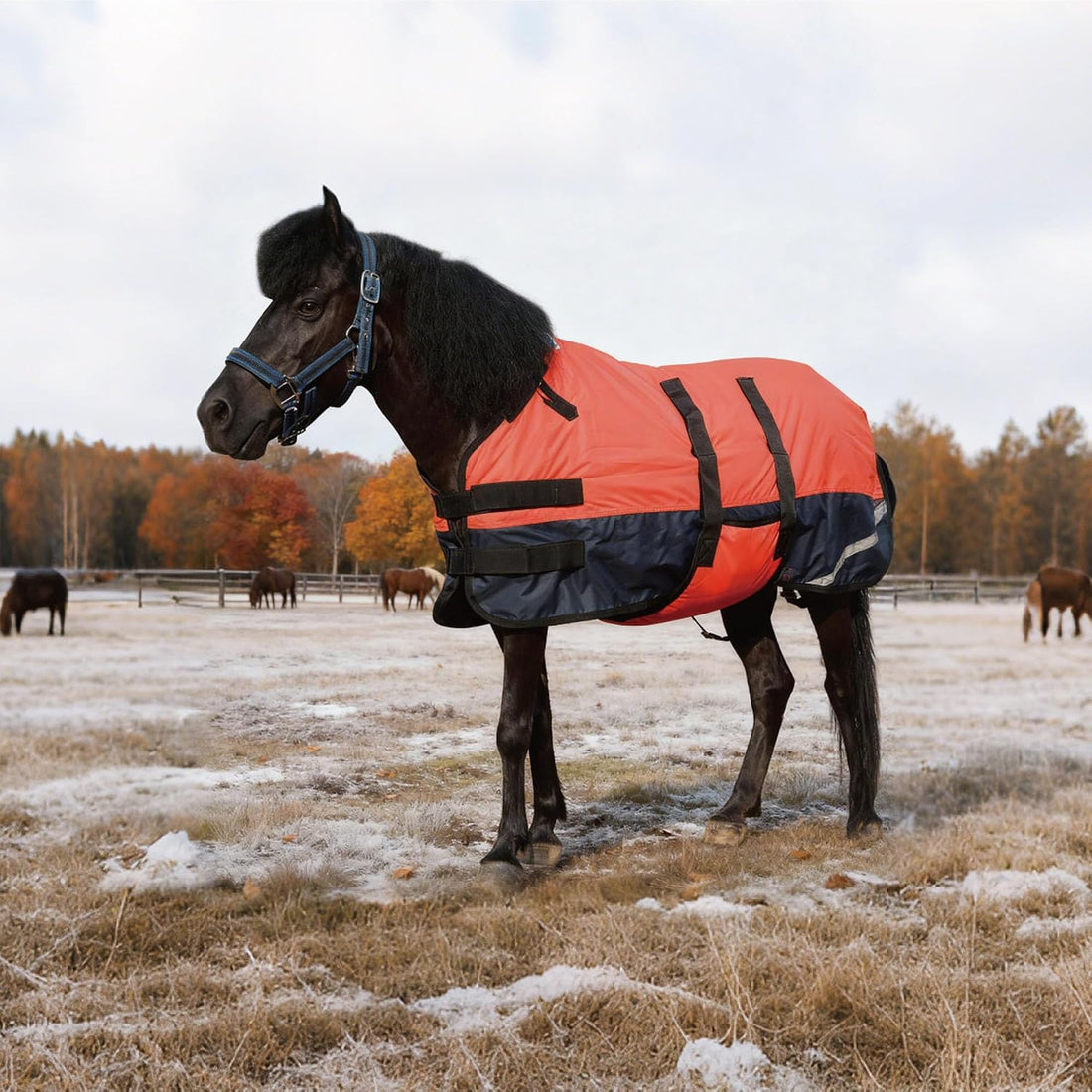 300D Foal/Mini/Pony Horse Blanket, 150g Waterproof Winter Turnout
