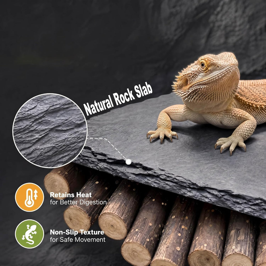 Bearded Dragon Tank Accessories