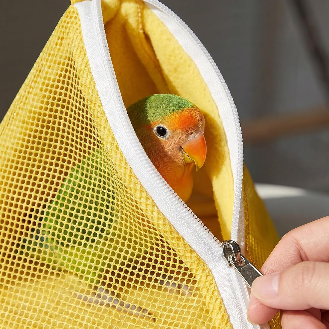 Small Bird Carrier, Triangular Pyramid Mesh Travel Bag with Zipper