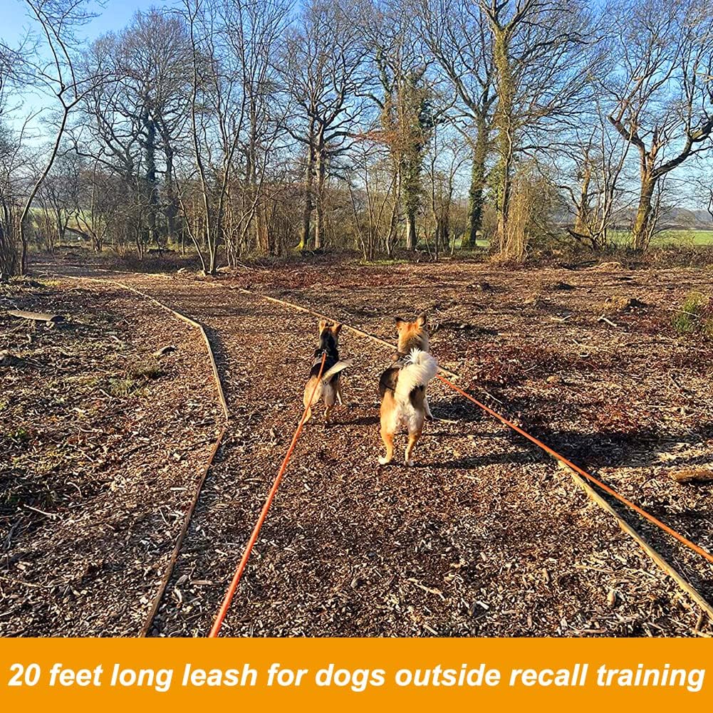 Vivifying Floating Long Dog Leash, 20FT Dog Training Leash