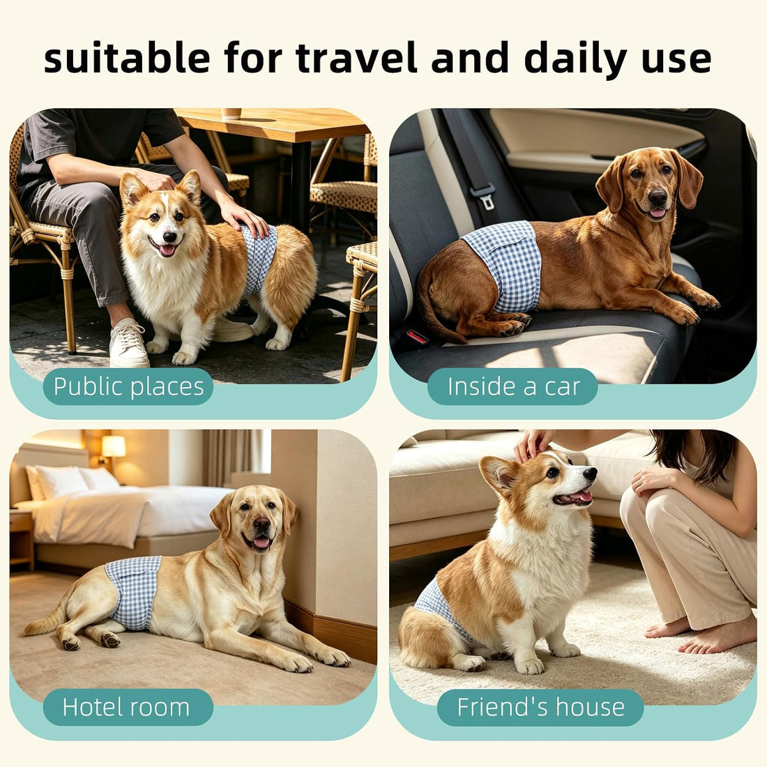 Belly Bands for Male Dogs, Individually Wrapped, 20 ct