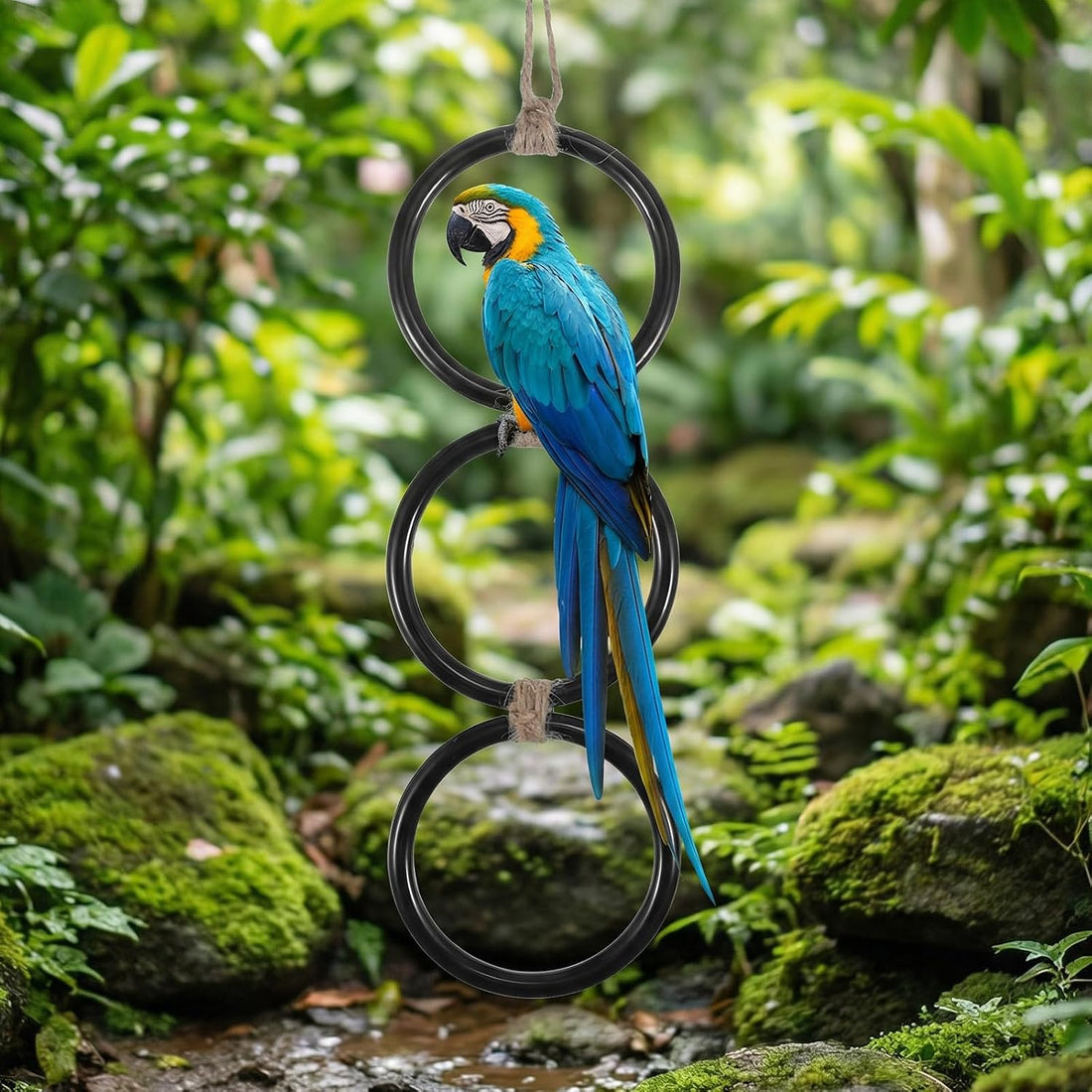Snake Enclosure Accessories, Reptile Climbing Ring Hammock Set