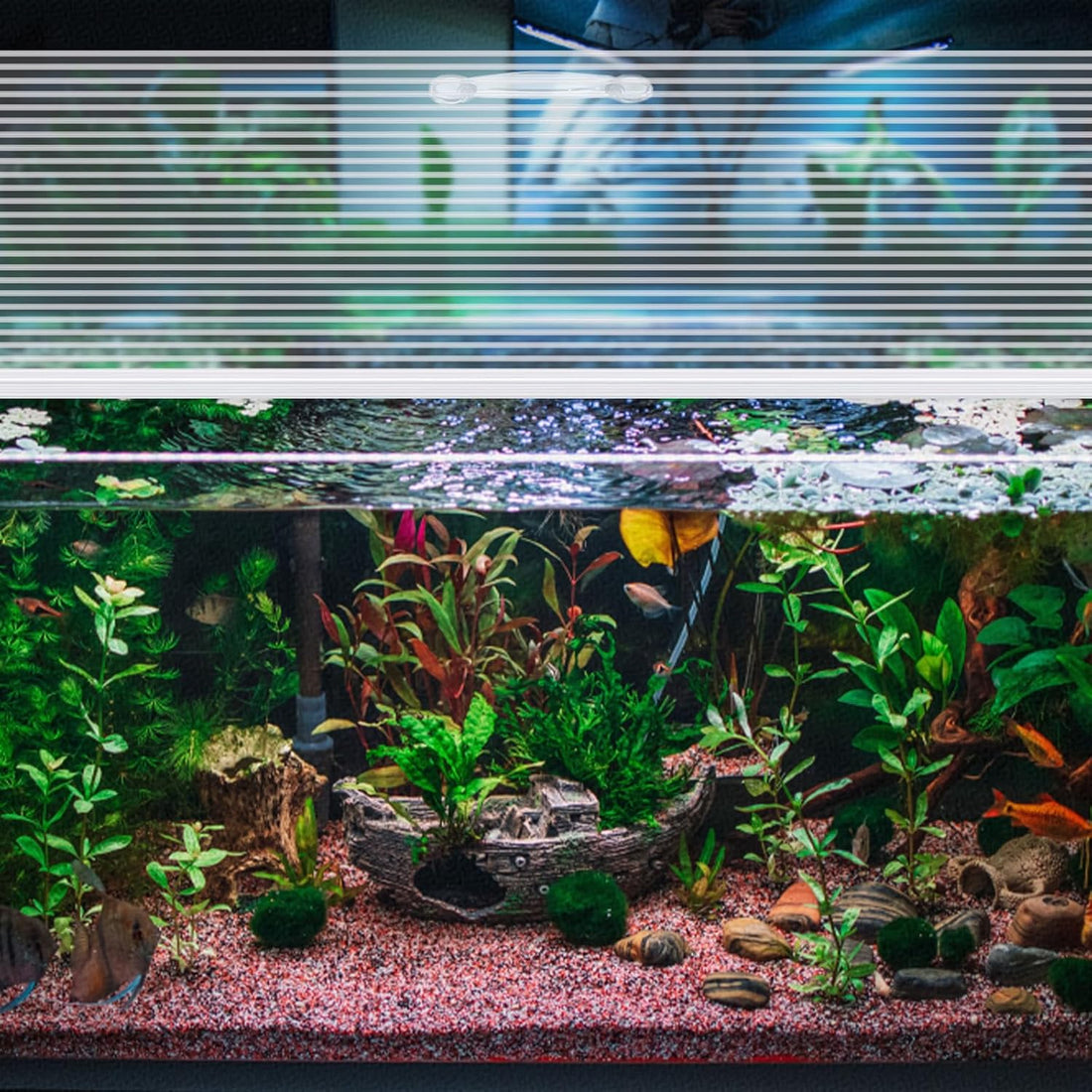 Sieral Aquarium Lids Canopy Set, 30 x 12 Inch, Clear, 1 Pcs