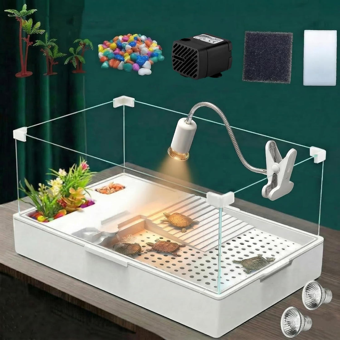 Medium Turtle Tank with Water Pump