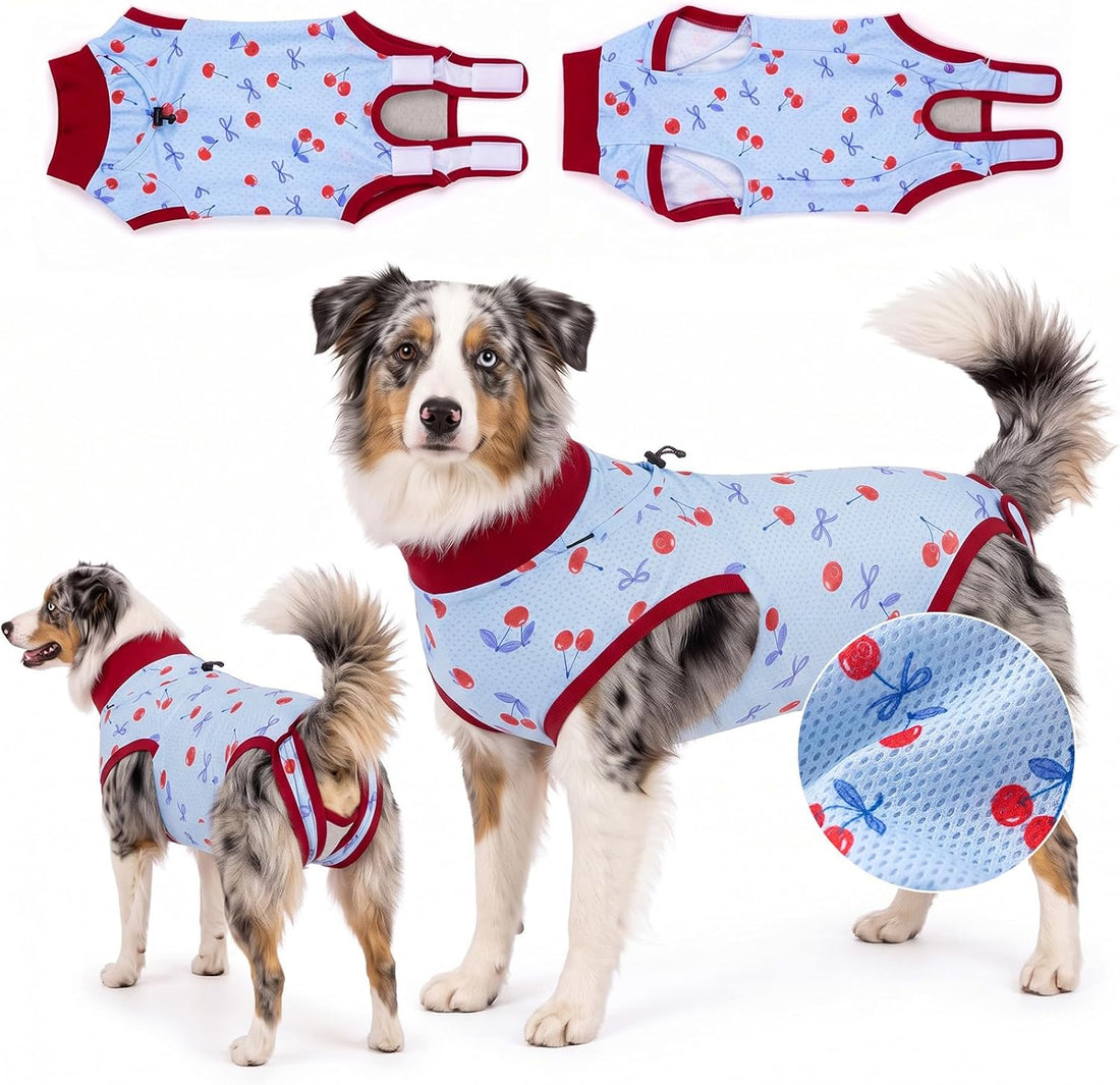 Glittme Dog Surgery Recovery Suit with Breathable Mesh for Female
