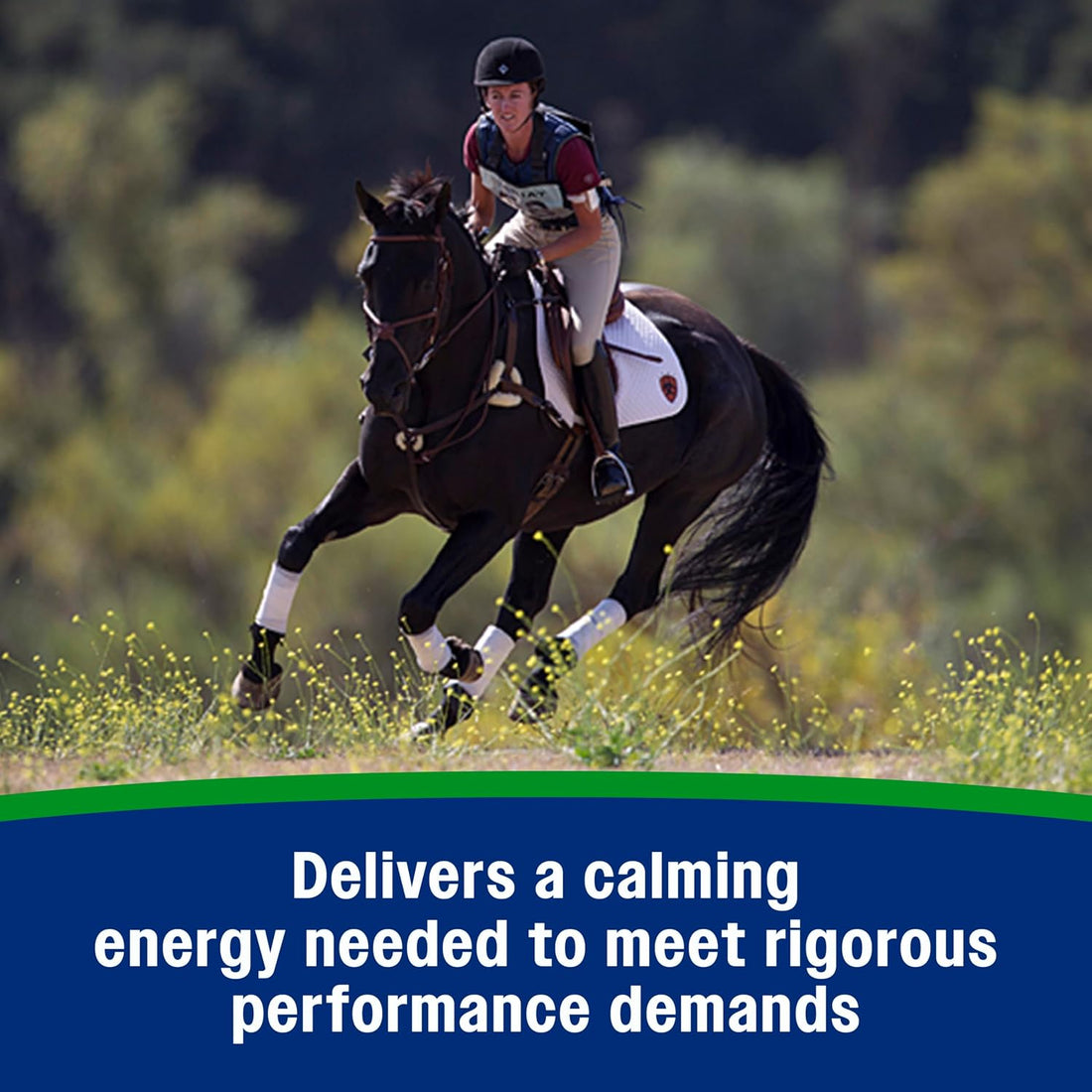 Farnam Weight Builder Weight Support Supplement for Horses