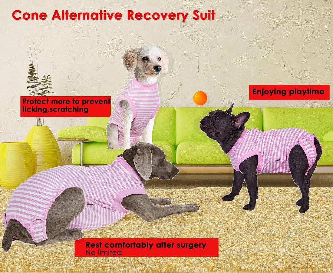 Wabdhaly Recovery Suit for Dogs,Dog Cone Alternative Zipper Surgery