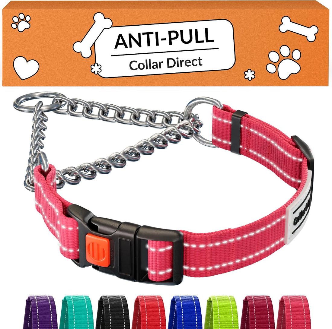 CollarDirect Martingale, Steel Chain, Reflective (L, 17-22", Pink)