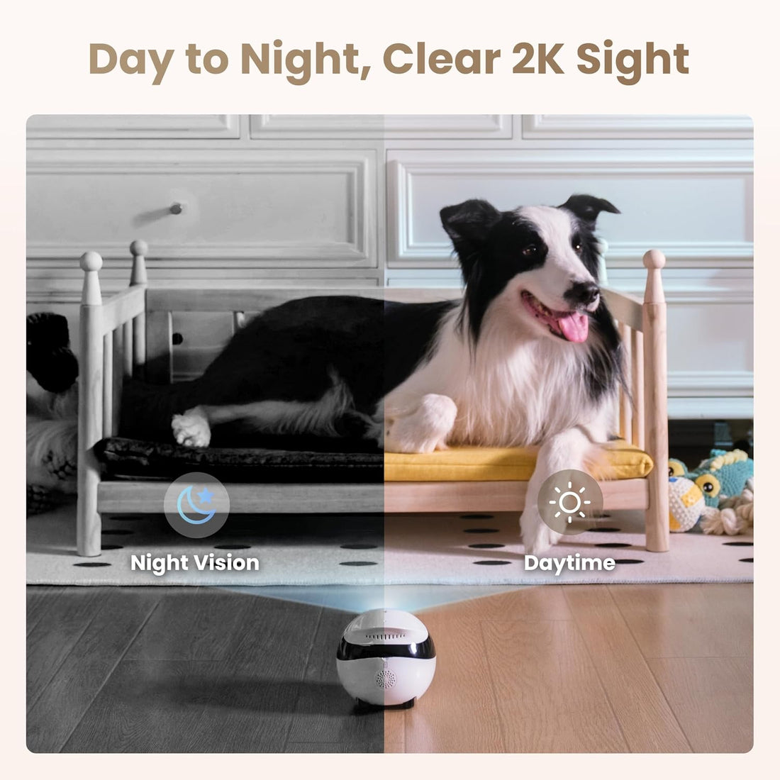Enabot EBO Air 2 Mobile Pet Camera Robot