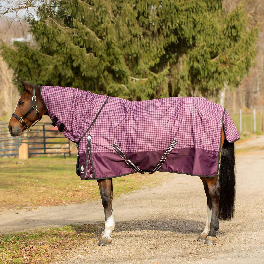 Equinavia Norse 300g Heavy Weight Horse Blanket Waterproof All