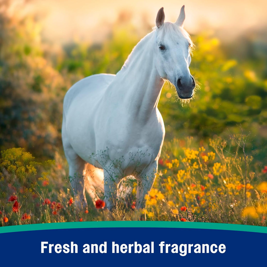 Farnam Nature’s Defense Botanical Fly Repellent Spray for Horses