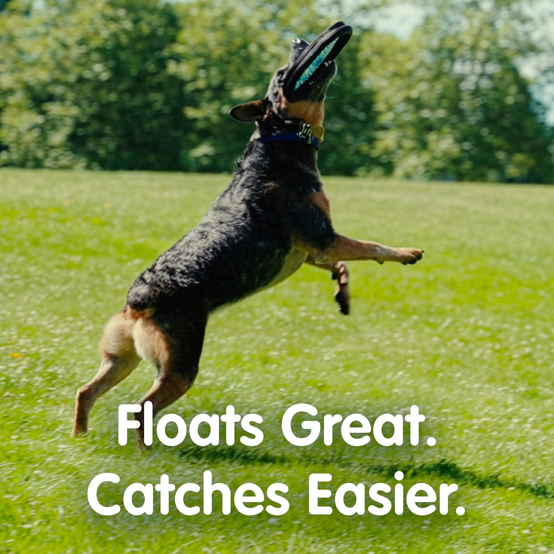 The ZooKeeper ZooBee Flying Disc Dog Toy – Soft & Durable Toss Disc