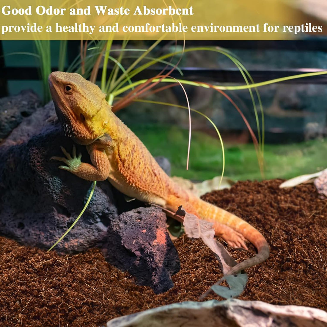 ZeeDix 2 Pack Coconut Fiber Substrate