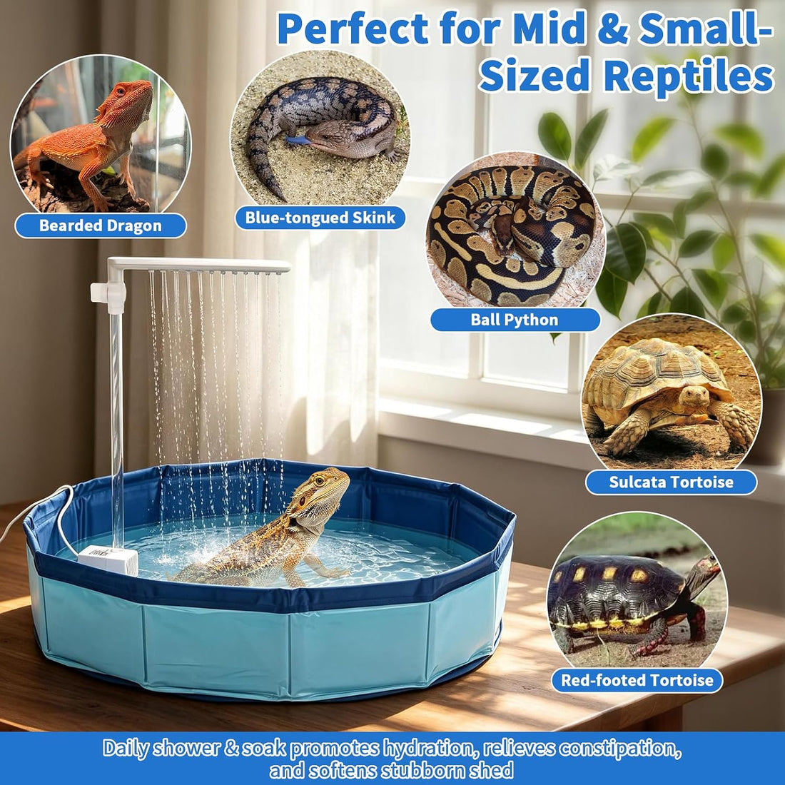 SKARUS Electric Bearded Dragon Bathtub