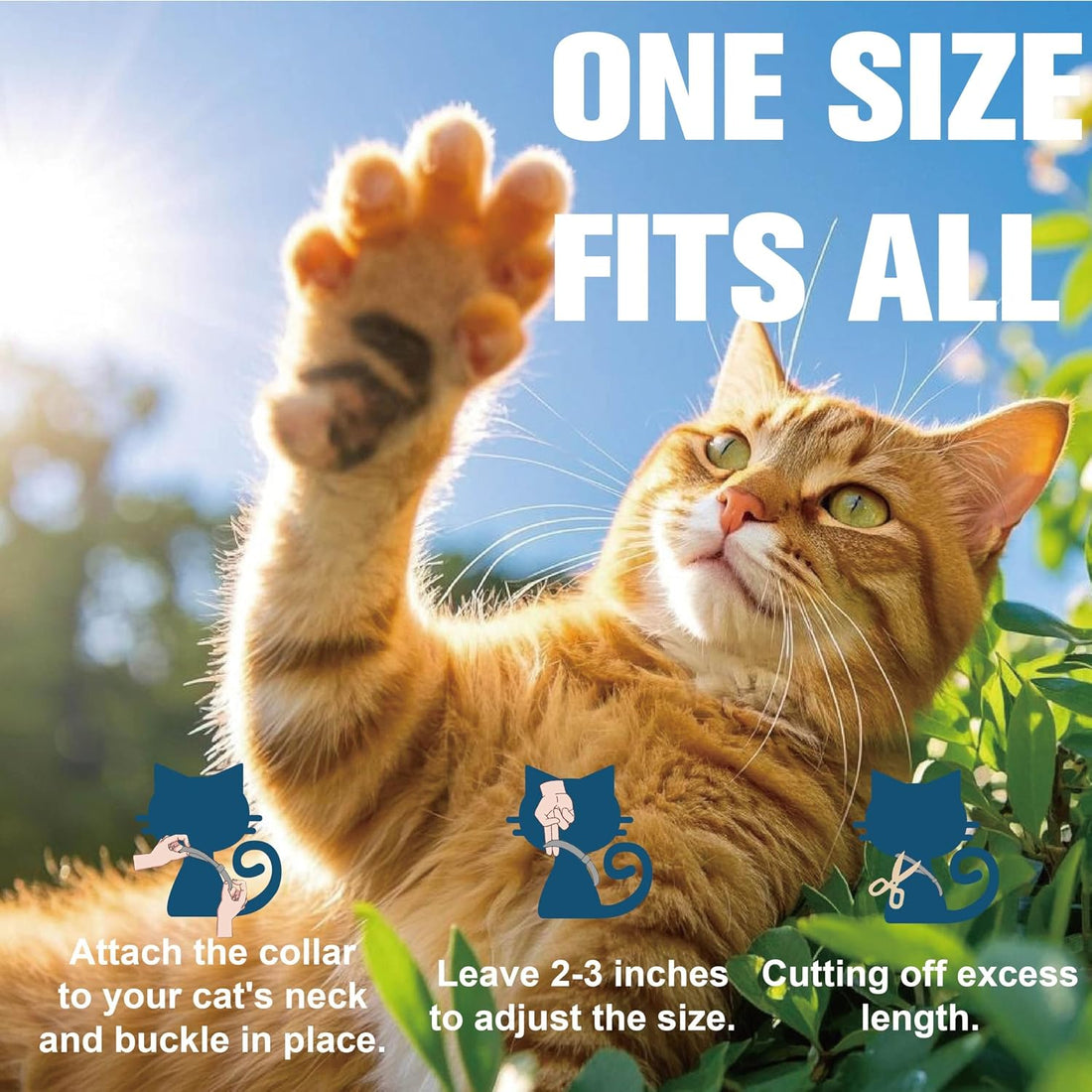 Advanllent Flea Collar for Cats, Flea and Tick Collars for Kittens