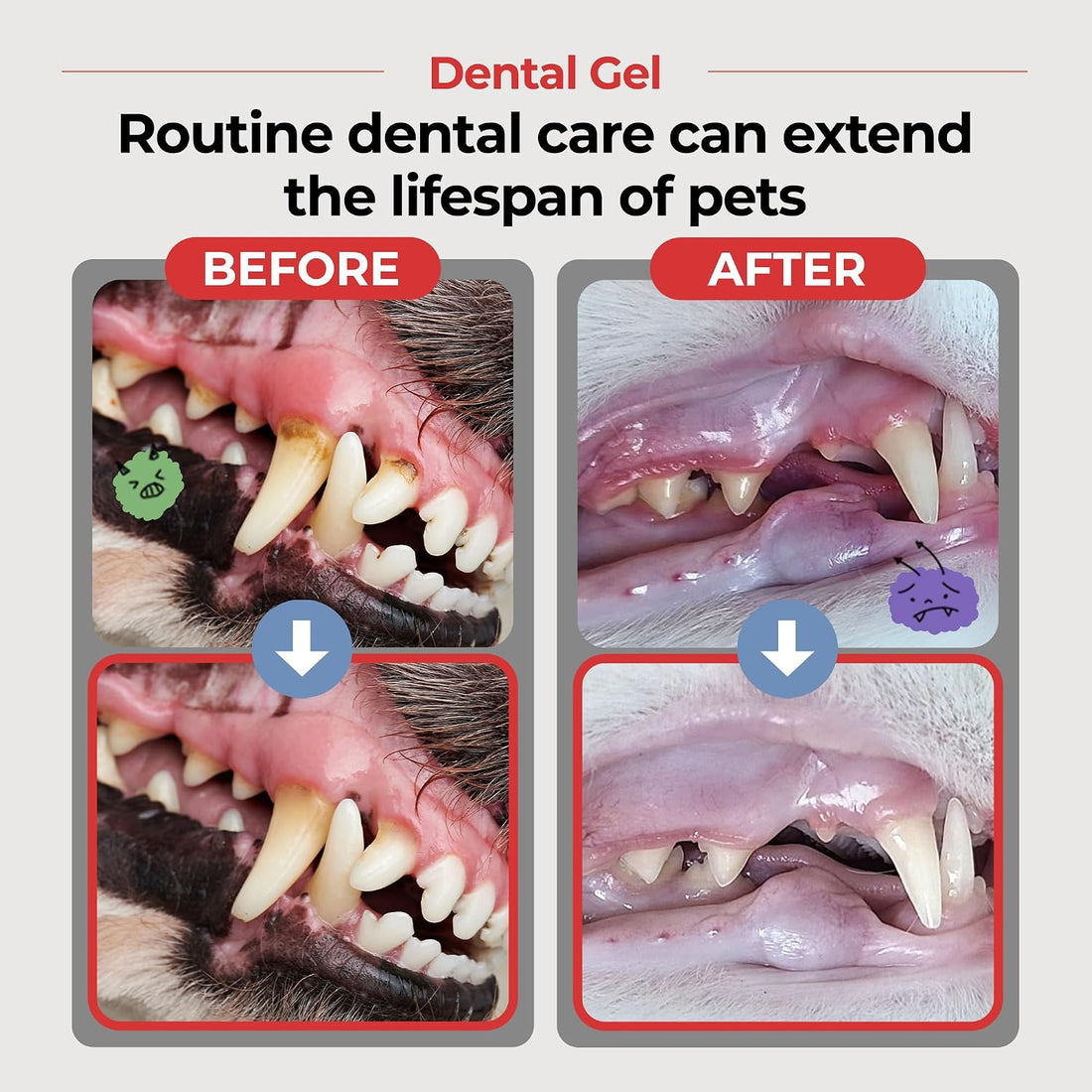JAYU PET Dental Gel Dog Cat Toothpaste, 2.8 Ounce