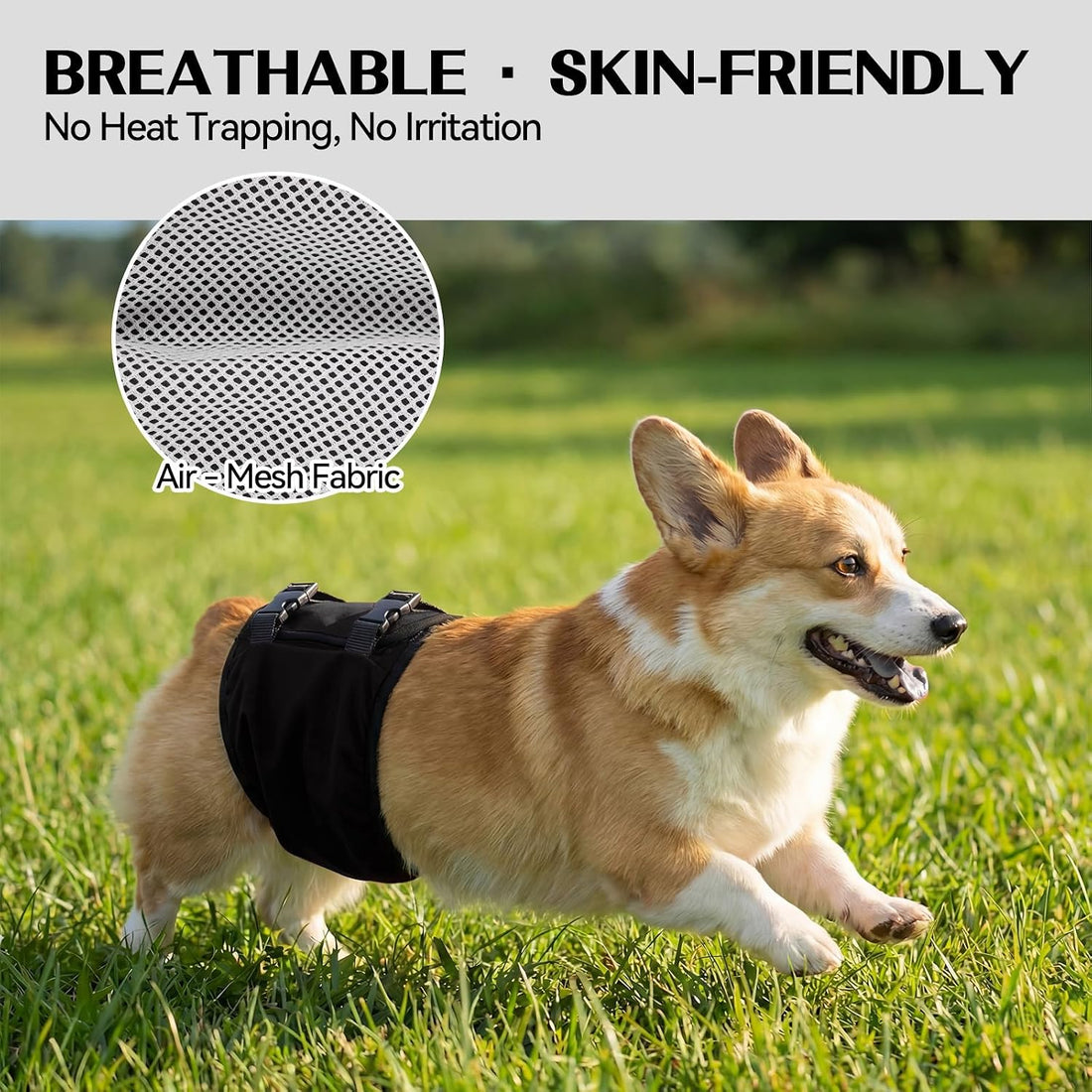 DENTRUN Male Dog Wrap, Adjustable Belly Band Leak-Proof & Lick