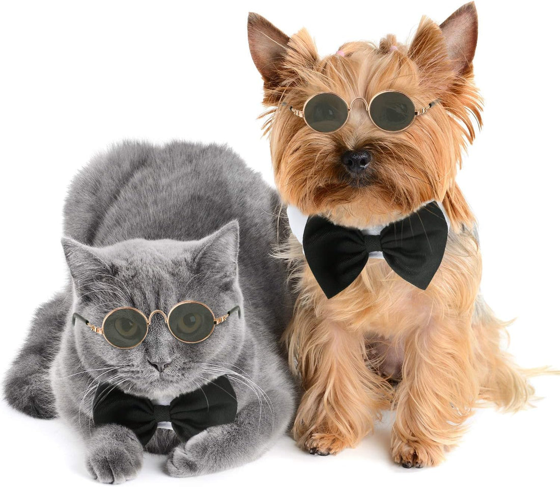 2 Pieces Pets Dog Cat Bowtie Tie Sunglasses Pets Costume Adjustable